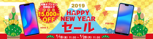 bn_201901hnysale_1004260