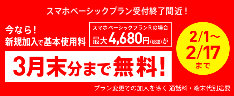 bnr_basicplan_sp